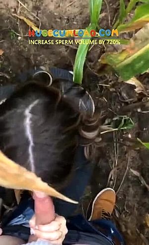 Couple having sex in corn field'